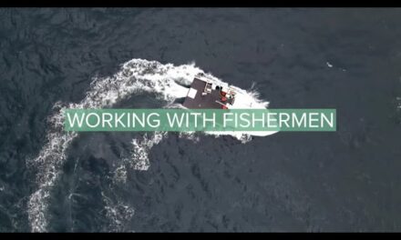 Aves-vous manqué les vidéos de la semaine ?