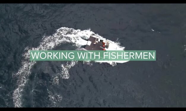 Aves-vous manqué les vidéos de la semaine ?