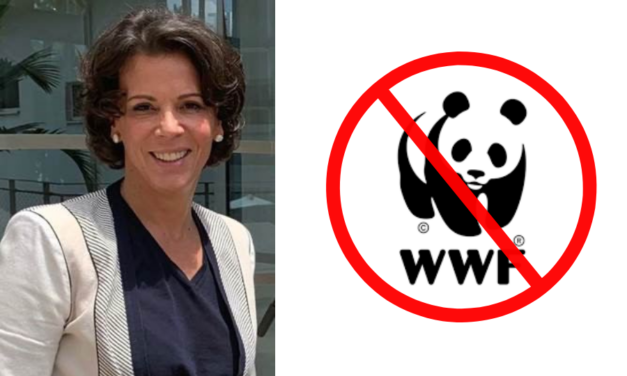 WWF France : Alexandra Palt démissionne de la présidence après un conflit sur « l&rsquo;apolitisme » et l&rsquo;antiracisme