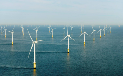 Royaume-Uni : De nouvelles règles de compensation environnementale pour l’éolien offshore entrent en vigueur