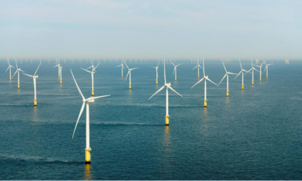 Royaume-Uni : De nouvelles règles de compensation environnementale pour l&rsquo;éolien offshore entrent en vigueur