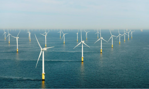 Royaume-Uni : De nouvelles règles de compensation environnementale pour l&rsquo;éolien offshore entrent en vigueur