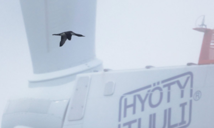 Première étude radar ornithologique finlandaise : les résultats de Tahkoluoto suggèrent que les oiseaux s&rsquo;adaptent