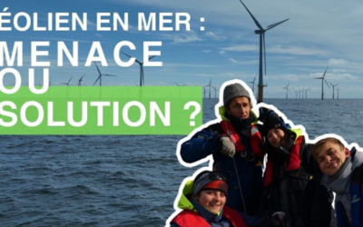 « WATTer, par la force du vent », d’un film pas comme les autres. ITV de Benjamin Catry, 1 de la bande des 4