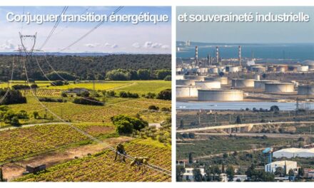 « Hautes tensions » pour le projet de lignes aériennes de 400 volts à travers la Carmargue