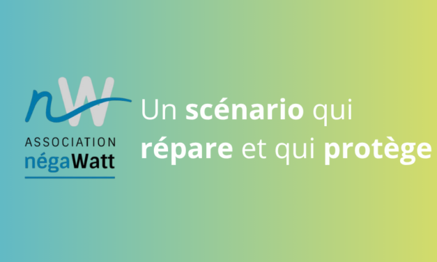 NegaWatt prépare son 6ème scénario dont une part sera financé par les citoyens