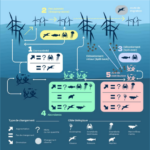 Eoliennes en mer & biodiversité : un état de l&rsquo;art le plus complet disponible sur le sujet réalisé par l&rsquo;Expertise scientifique collective (ESCo) CNRS Ifremer – 1