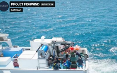 Faire cohabiter la pêche et l’éolien en mer : le pari du projet FishWind, en Méditerranée
