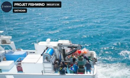Faire cohabiter la pêche et l&rsquo;éolien en mer : le pari du projet FishWind, en Méditerranée – 2