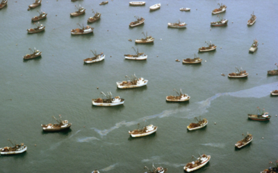 Que représente la pêche et l’aquaculture dans le monde ?