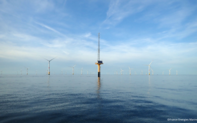 France Energies Marines propose deux postes autour de la biodiversité et un post-doc