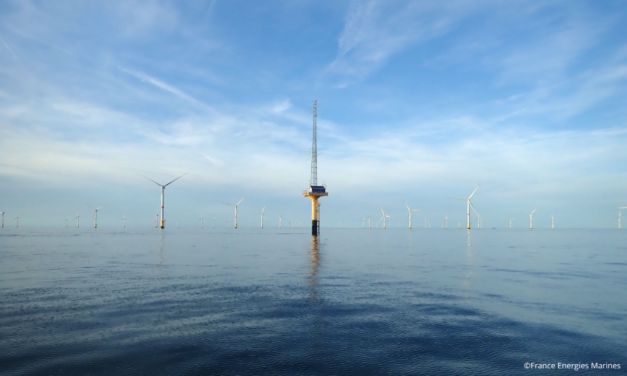France Energies Marines propose deux postes autour de la biodiversité et un post-doc