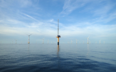 France Energies Marines propose deux postes autour de la biodiversité et un post-doc