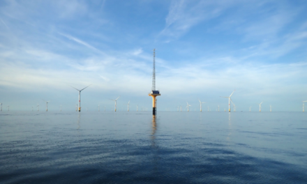 France Energies Marines propose deux postes autour de la biodiversité et un post-doc