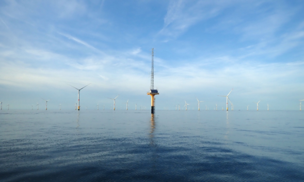 France Energies Marines propose deux postes autour de la biodiversité et un post-doc