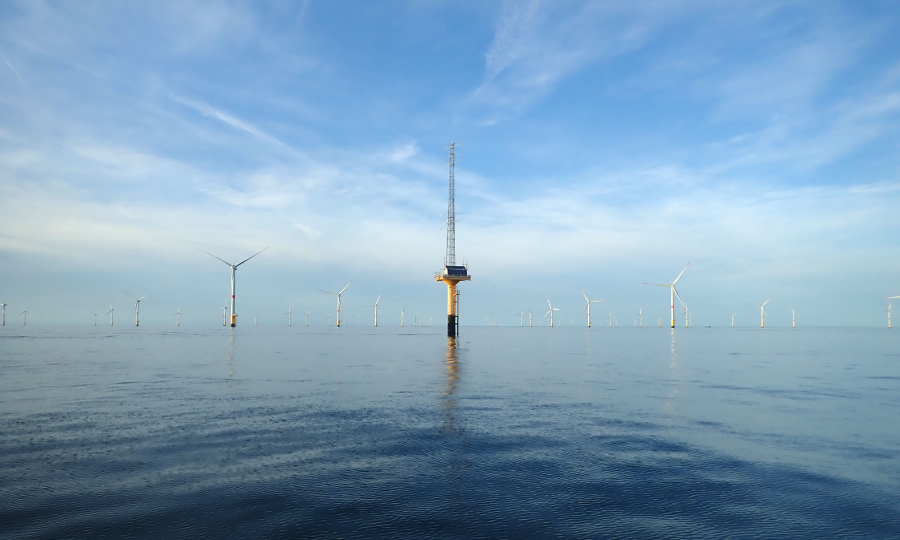 France Energies Marines propose deux postes autour de la biodiversité et un post-doc