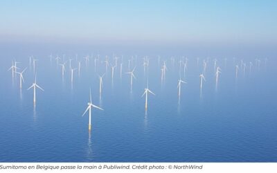 Publiwind, une nouvelle plateforme d’investissement dédiée à l’éolien offshore belge – 1