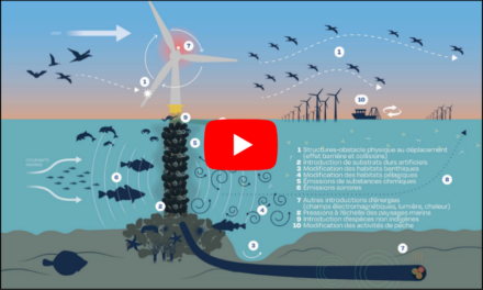 La vidéo de cette semaine : près de 4h30 sur le colloque de l&rsquo;ESCo « Effets des parcs en mer et de ses raccordements »
