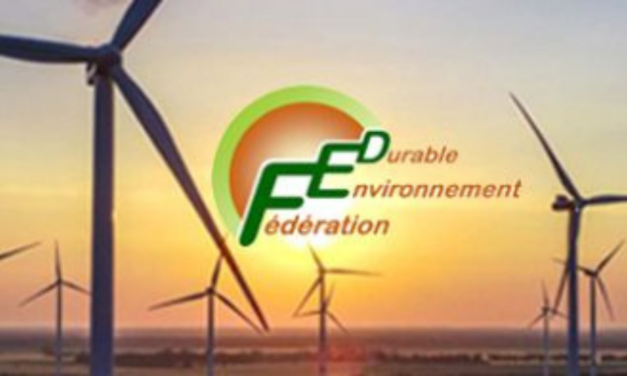 La Fédération Environnement Durable relève que des oiseaux ont été tués par des éoliennes en Haute-Marne dont 34 milans royaux