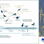 L&rsquo;expertise scientifique CNRS – Ifremer « impose de revoir la planification de l&rsquo;éolien en mer » selon la LPO