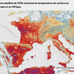Les incendies en Europe révèlent le coût de l&rsquo;incapacité à remplacer les combustibles fossiles par l&rsquo;éolien et le solaire
