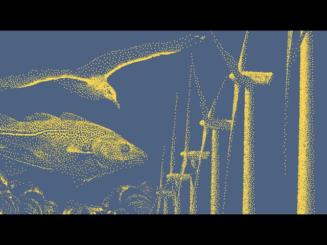 La vidéo de cette semaine : près de 4h30 sur le colloque de l&rsquo;ESCo « Effets des parcs en mer et de ses raccordements »