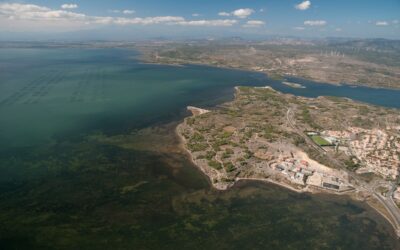 La préservation de la biodiversité locale et le parc éolien flottant EFGL
