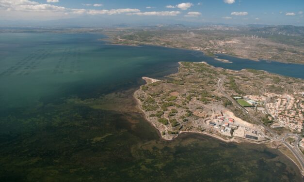 La préservation de la biodiversité locale et le parc éolien flottant EFGL
