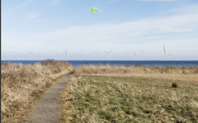 TotalEnergies quitte Lillebaelt Syd et Sonfor reprend le contrôle du projet éolien offshore de 165 MW