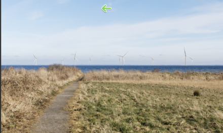 TotalEnergies quitte Lillebaelt Syd et Sonfor reprend le contrôle du projet éolien offshore de 165 MW