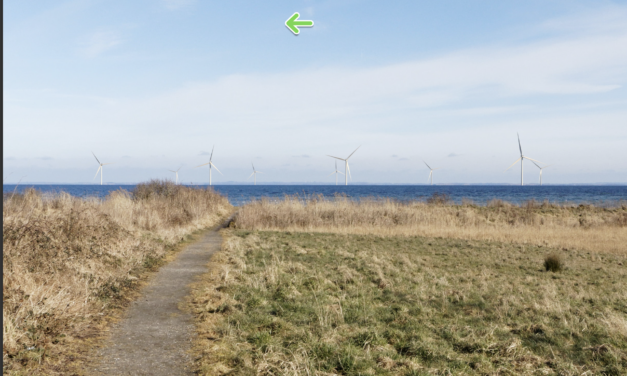 TotalEnergies quitte Lillebaelt Syd et Sonfor reprend le contrôle du projet éolien offshore de 165 MW