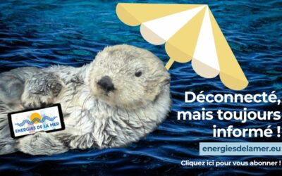 C&rsquo;est bientôt la rentrée : n&rsquo;oubliez pas de vous abonner !