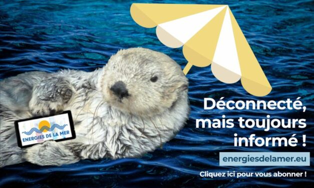 C&rsquo;est bientôt la rentrée : n&rsquo;oubliez pas de vous abonner !