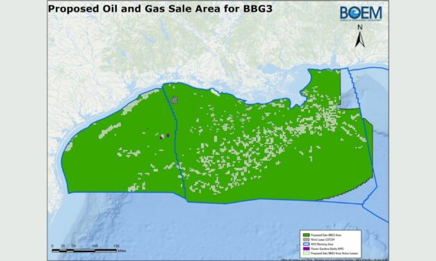 Pétrole : Seize entreprises ont candidaté dans le cadre de la vente Big Beautiful Gulf 3