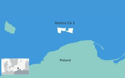 Ørsted lance un appel d’offres pour la surveillance des oiseaux et des chauves-souris dans les parcs éoliens offshore polonais.