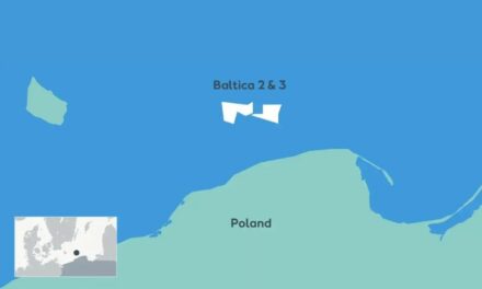 Ørsted lance un appel d&rsquo;offres pour la surveillance des oiseaux et des chauves-souris dans les parcs éoliens offshore polonais.