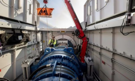 DWT décroche le contrat de maintenance du parc éolien offshore de Riffgat