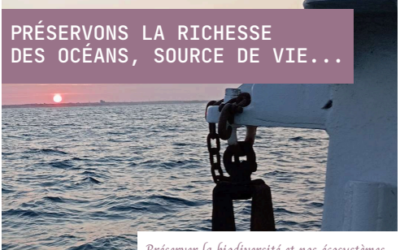 Le réseau OML (Océan mer littoral) NAMO* du mouvement France Nature Environnement exige que la protection du milieu marin conditionne son exploitation
