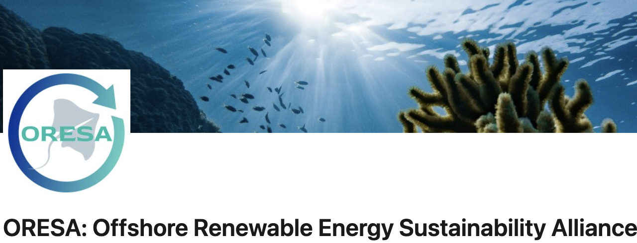 France Energies Marines est officiellement devenu organisme de formation début juillet 2026