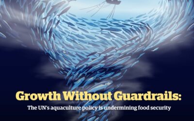 Une croissance sans garde-fous : la politique aquacole de l’ONU compromet la sécurité alimentaire 46% des poissons pêchés pourraient servir à nourrir des poissons d’élevage d’ici 15 ans le rapport de la FAO