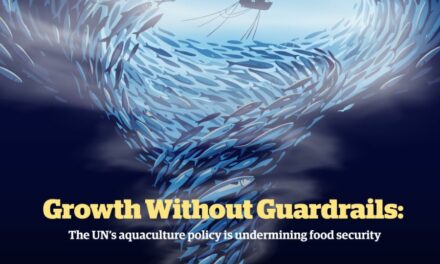 La FAO compromet la sécurité alimentaire : 46% des poissons pêchés pourraient servir à l&rsquo;aquaculture d&rsquo;ici 15 ans