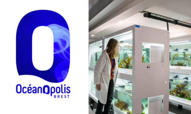 Algues : la Fondation pour la recherche sur la biodiversité, Océanopolis et les Laboratoires Pierre Fabre font équipe