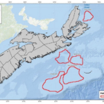 100 millions $ seront investis par le gouvernement fédéral canadien dans le projet d&rsquo;énergie éolienne en mer en Nouvelle-Écosse